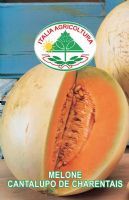 Melone cantalupo de charentais